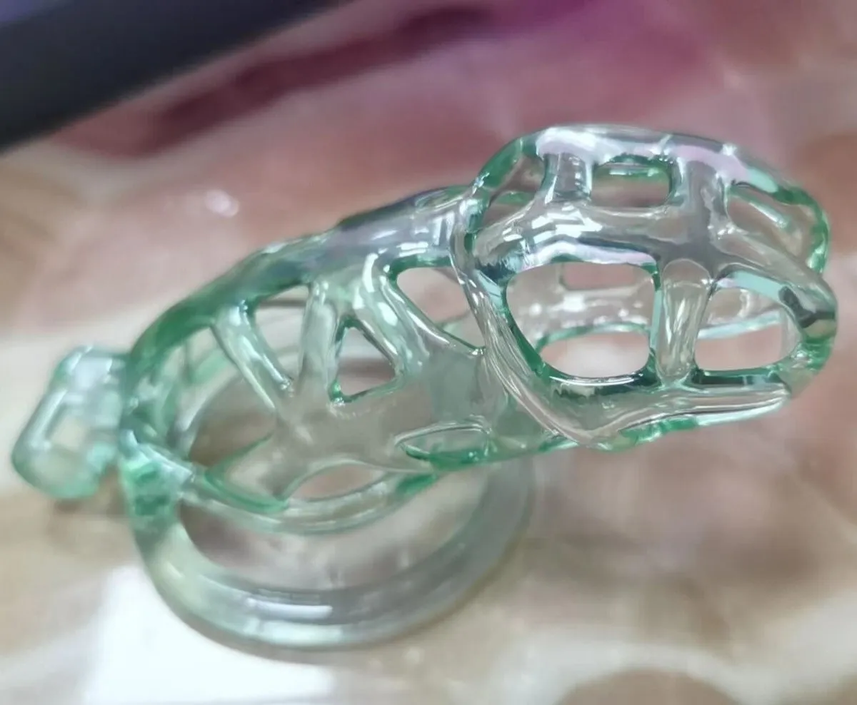 Custom Size - The guardian - 3D printed chastity Premium Paint