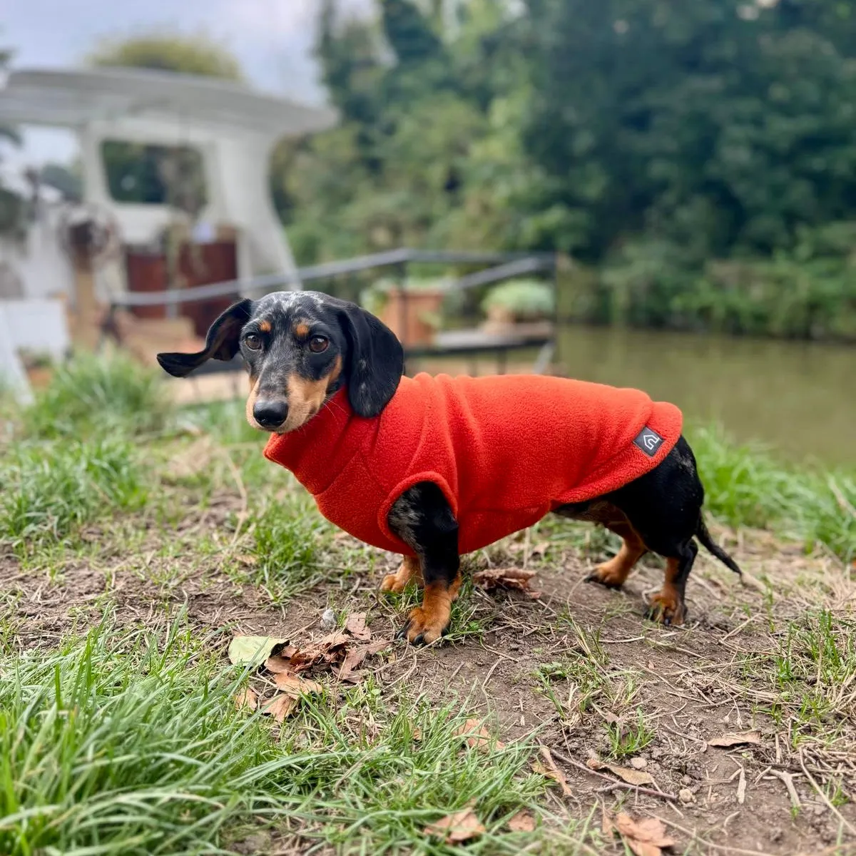 Dachshund Fleece Jumper