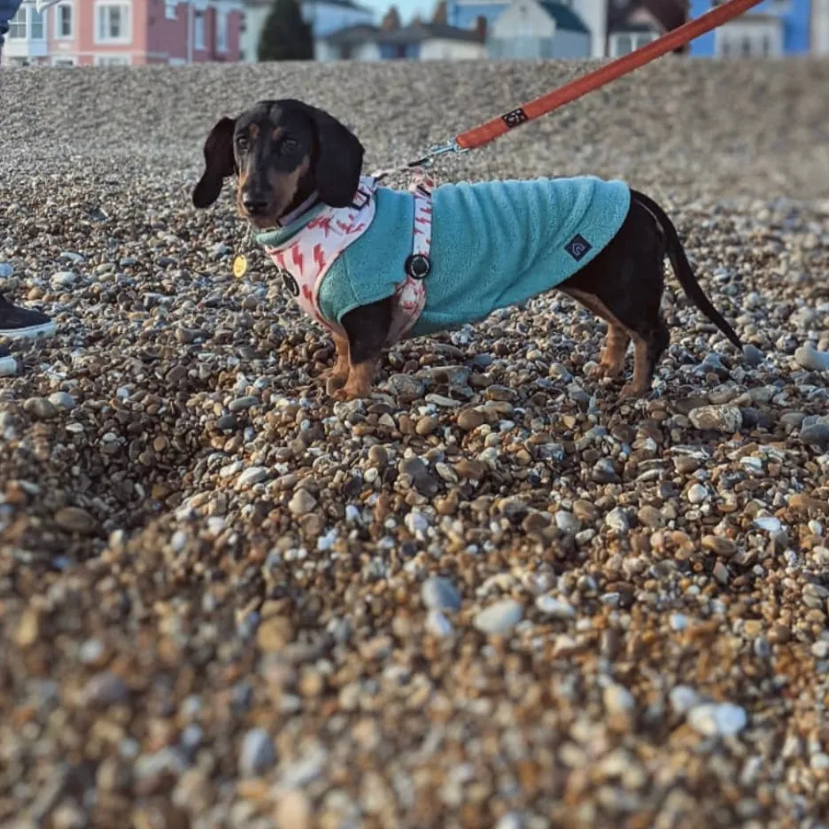 Dachshund Fleece Jumper