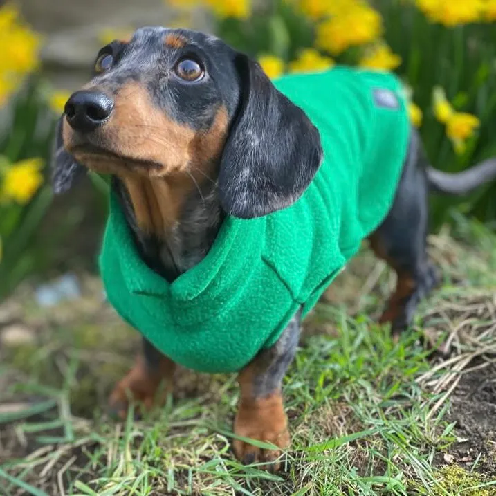 Dachshund Fleece Jumper