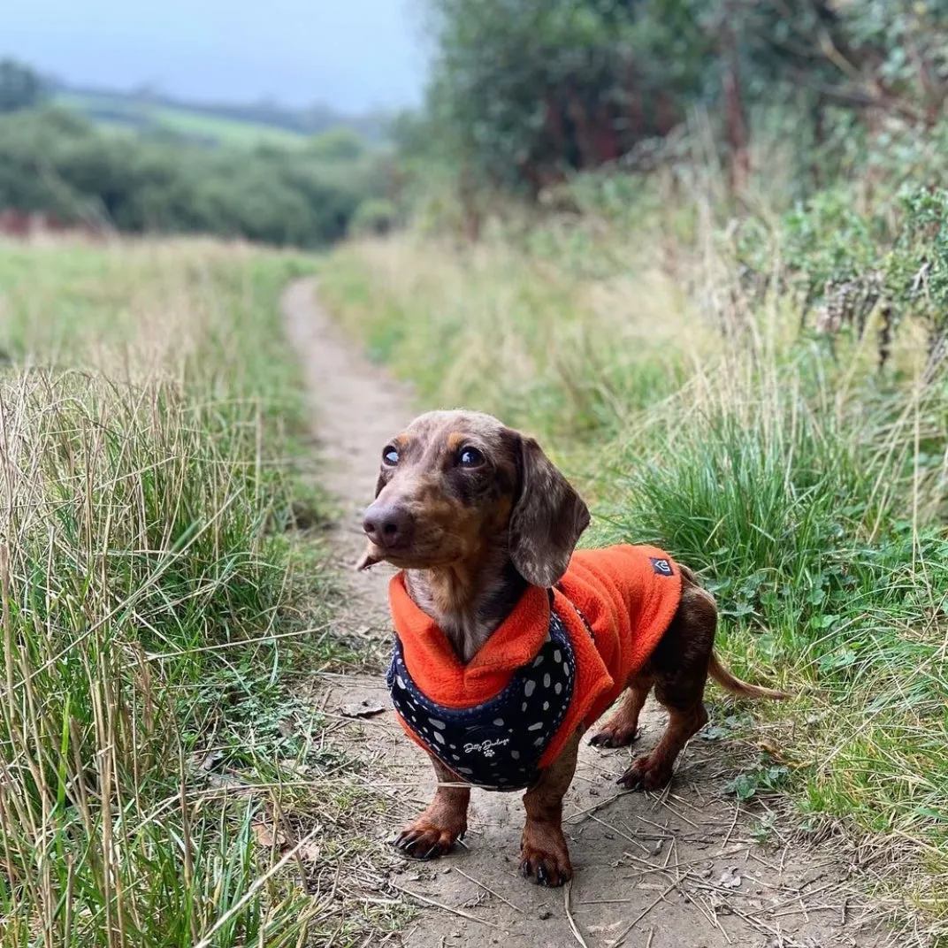 Dachshund Fleece Jumper