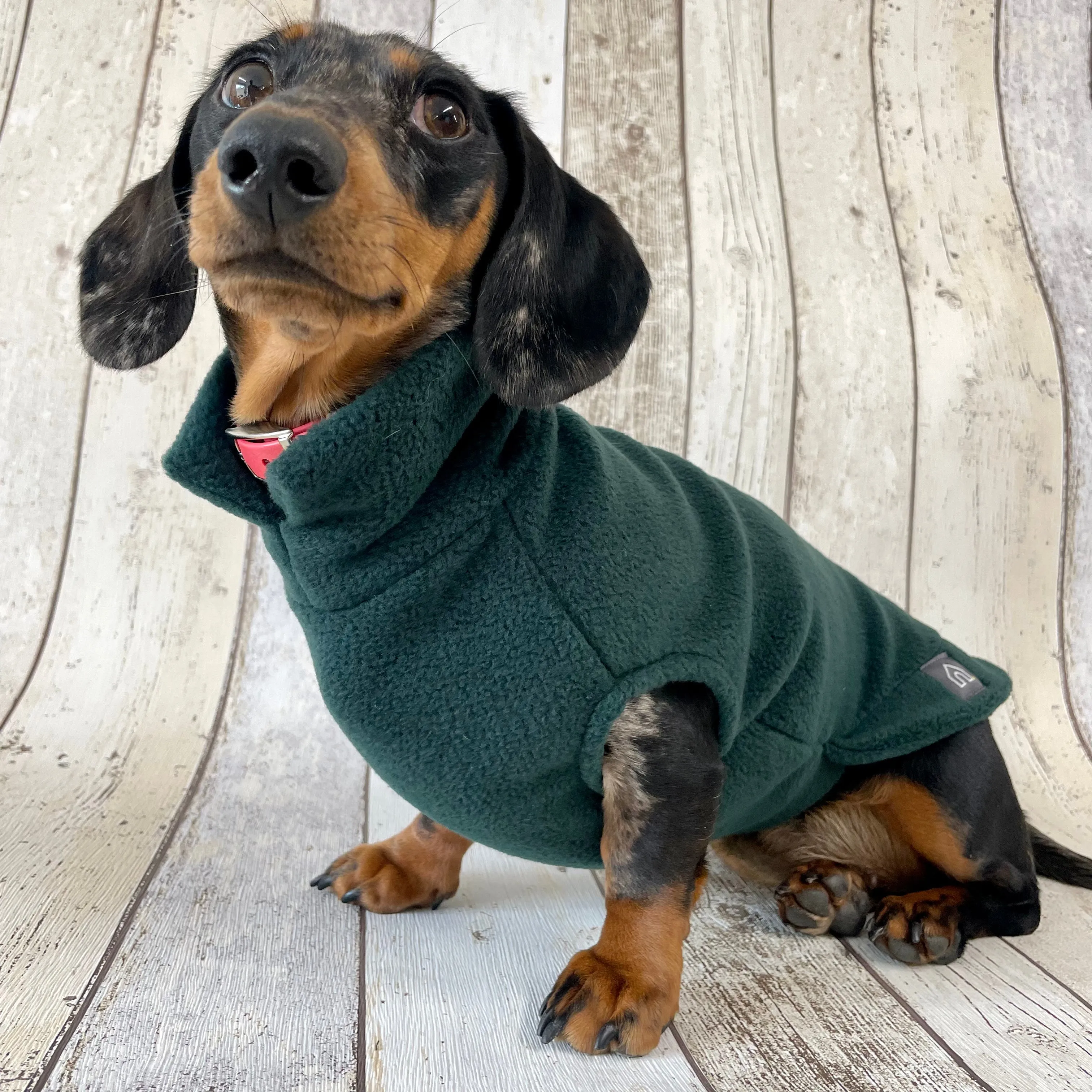 Dachshund Fleece Jumper