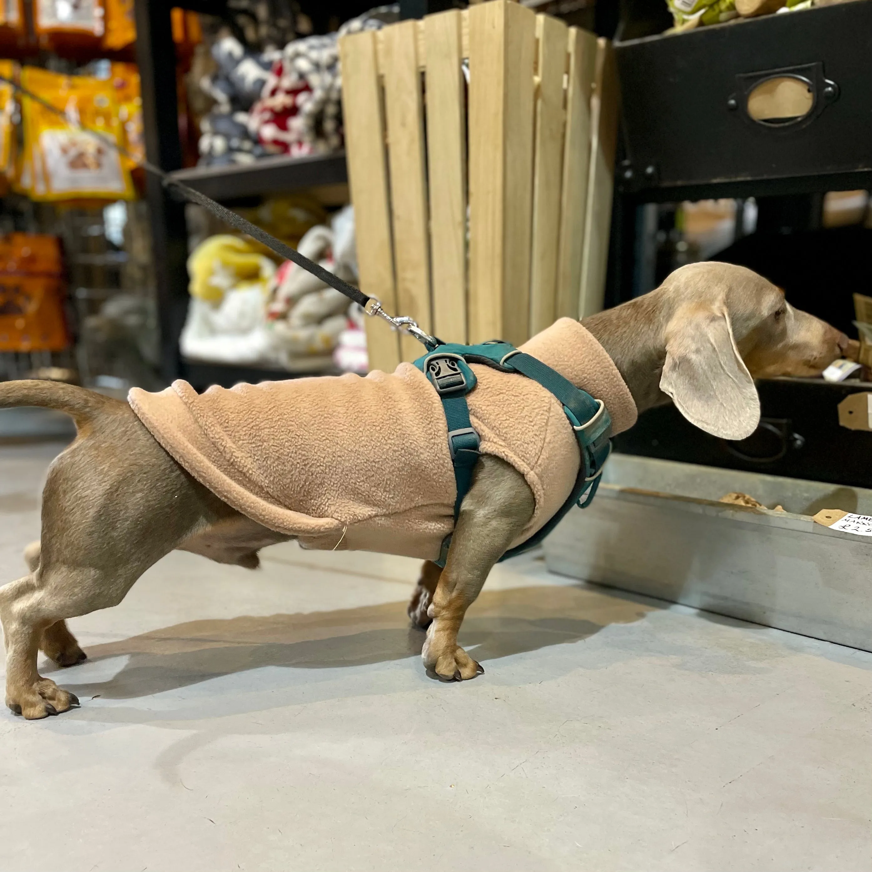 Dachshund Fleece Jumper