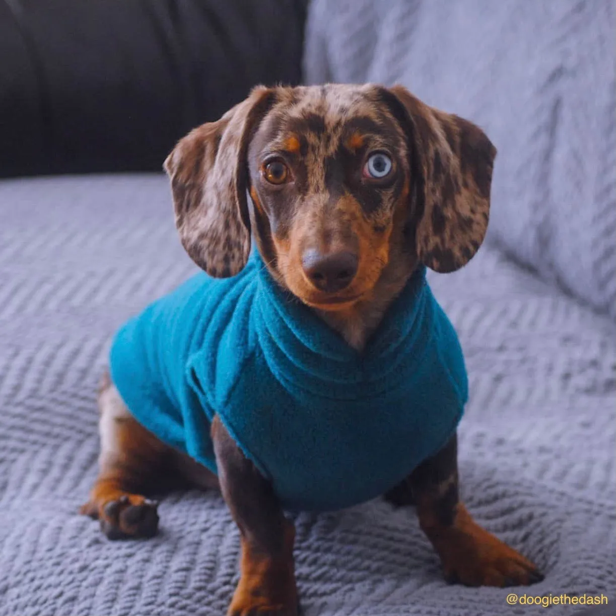 Dachshund Fleece Jumper