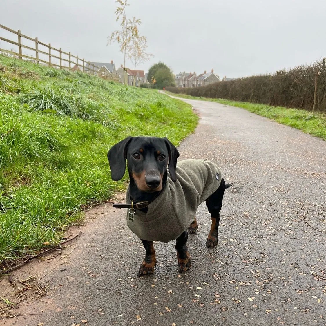 Dachshund Fleece Jumper