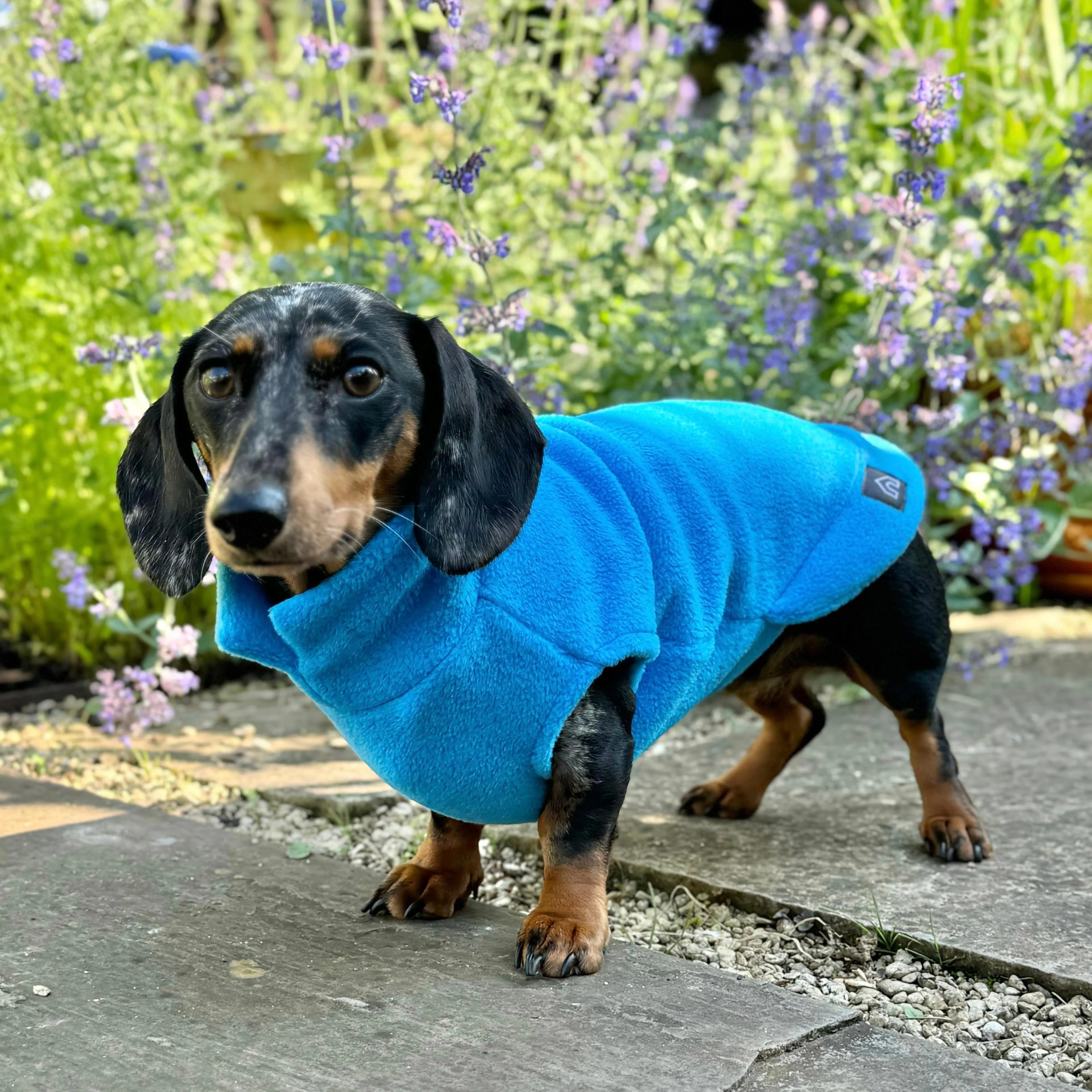 Dachshund Fleece Jumper