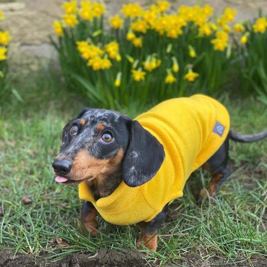 Dachshund Fleece Jumper