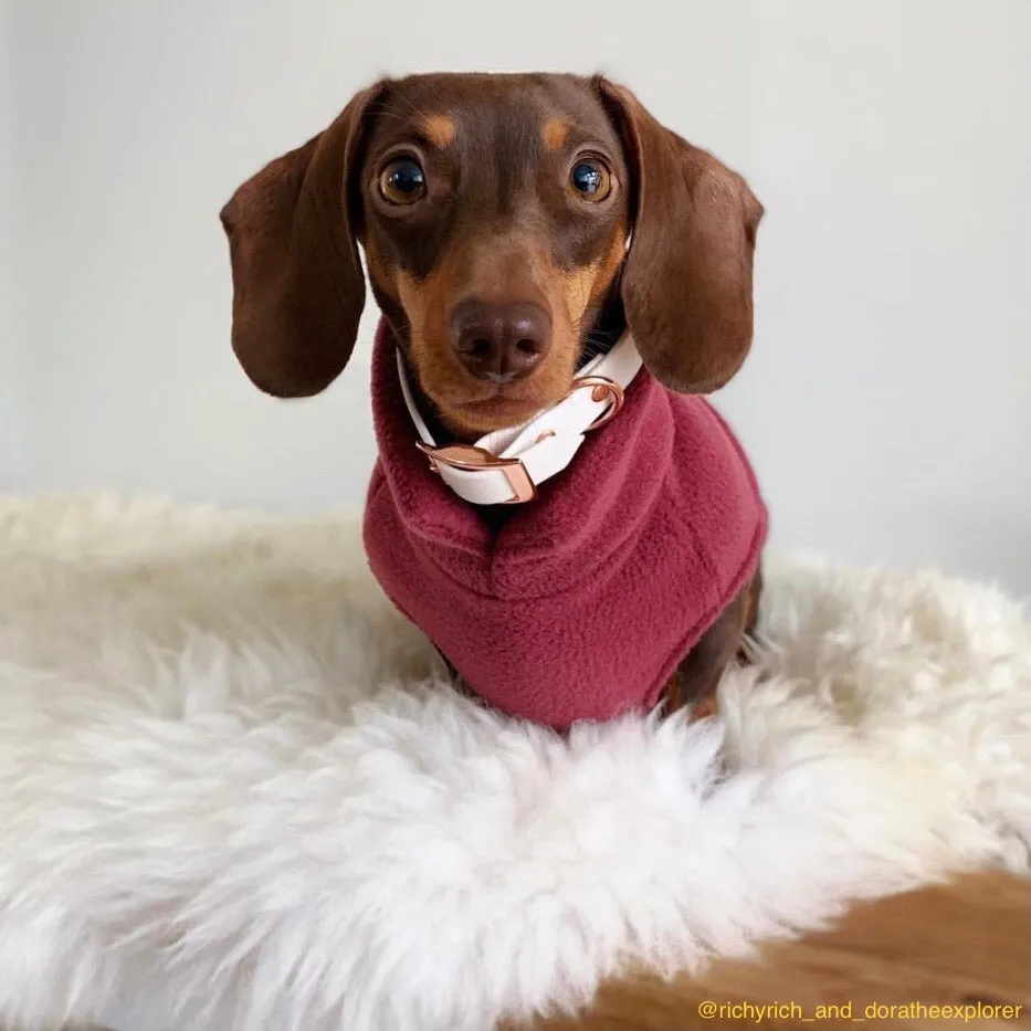 Dachshund Fleece Jumper