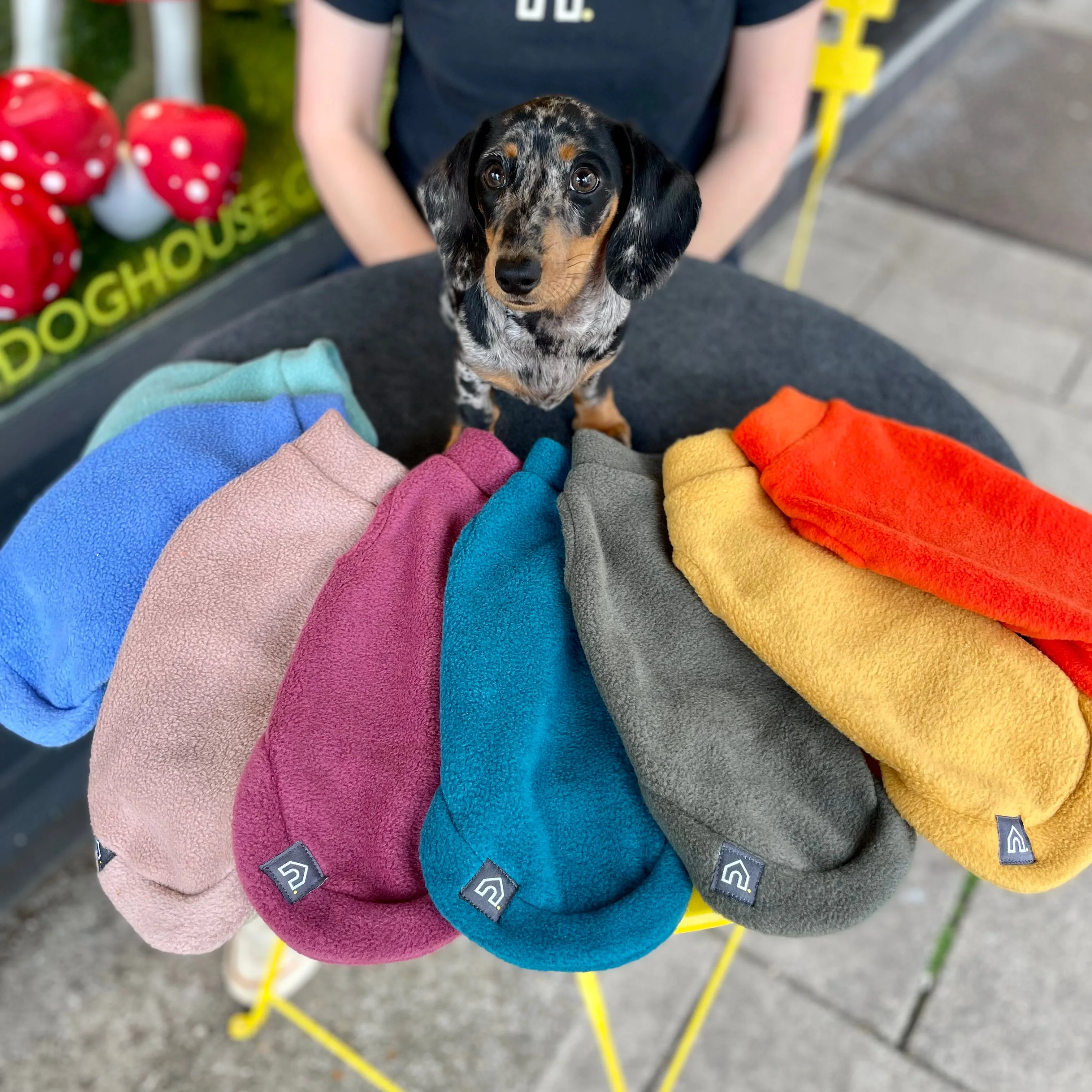 Dachshund Fleece Jumper