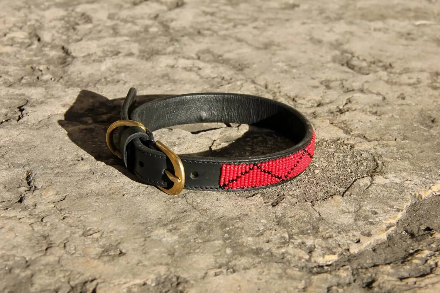 Dog collar Madrid