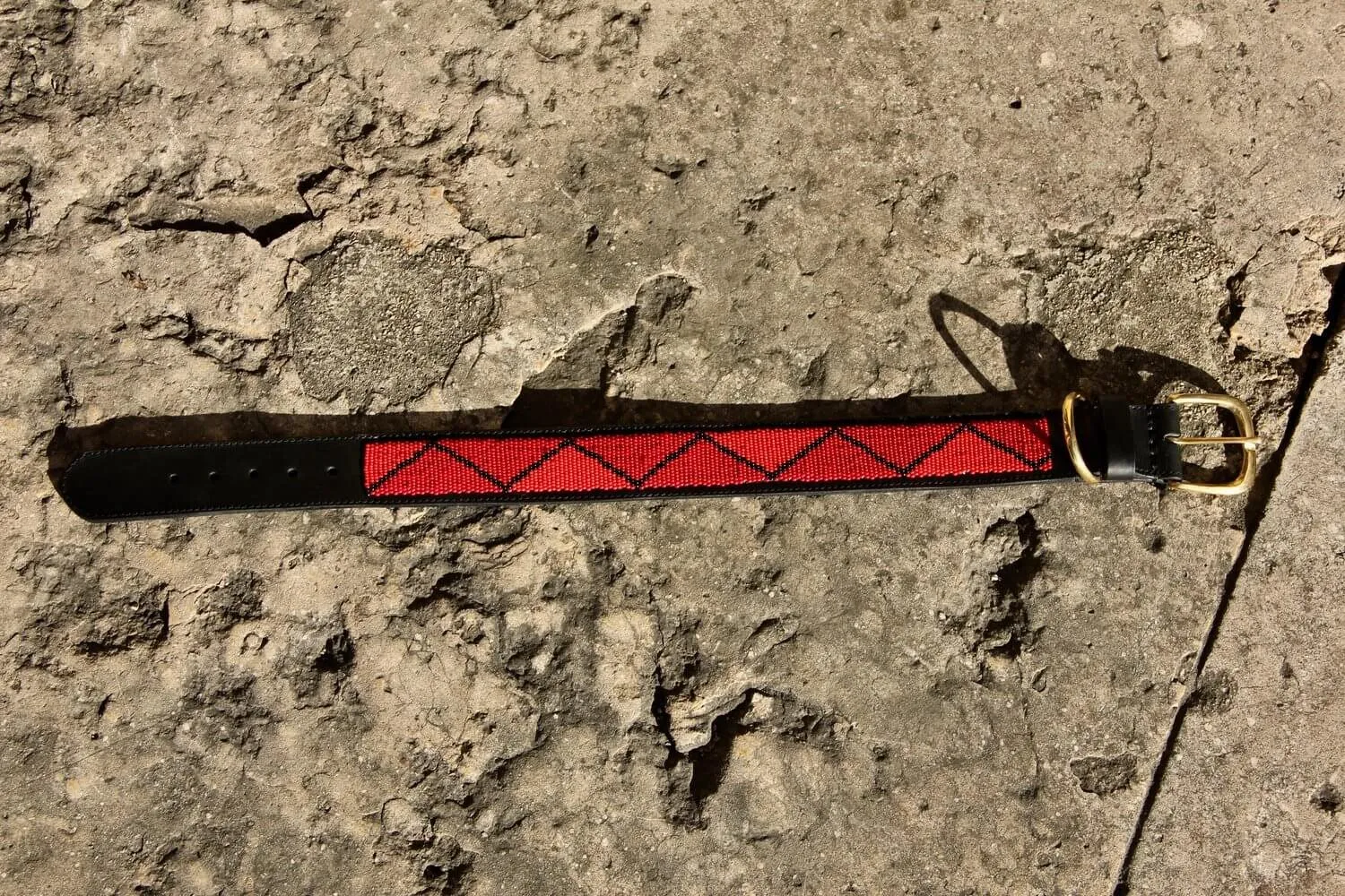 Dog collar Madrid