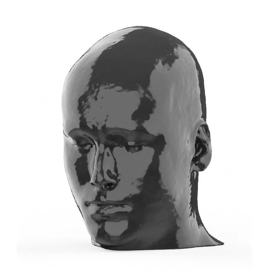 Head and Neck CTA Phantom AVM