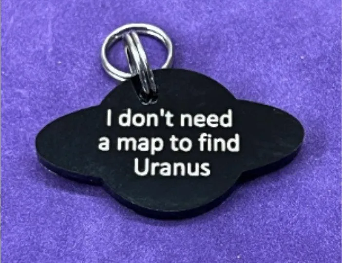 Personalized UFO Pet Tag - UFO Dog Tag - UFO Cat Tag - unknown flying object - alien dog tag - space id tad - luna id tag
