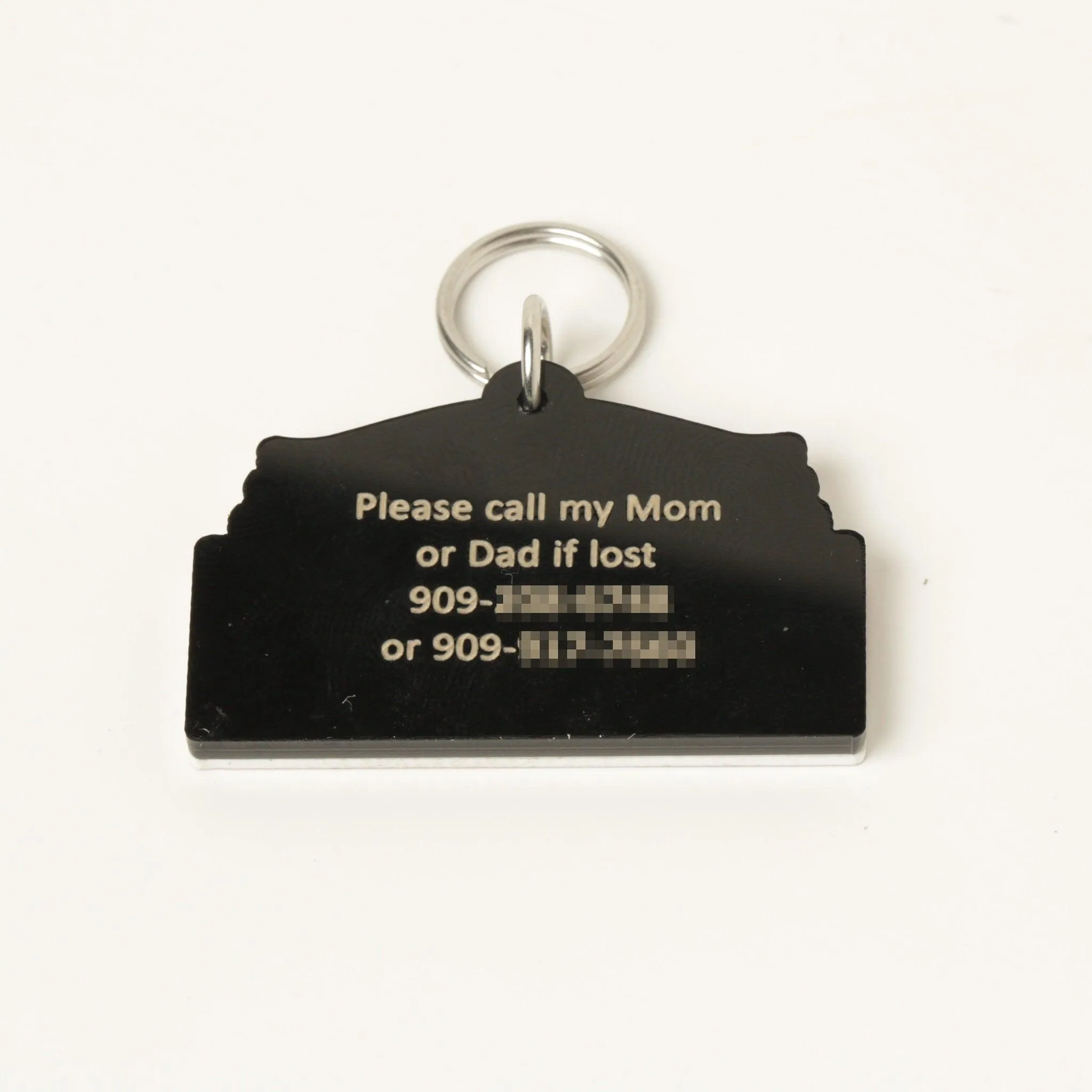 Personalized Wrigley Field Pet Tag - Personalized Wrigley Pet Tag