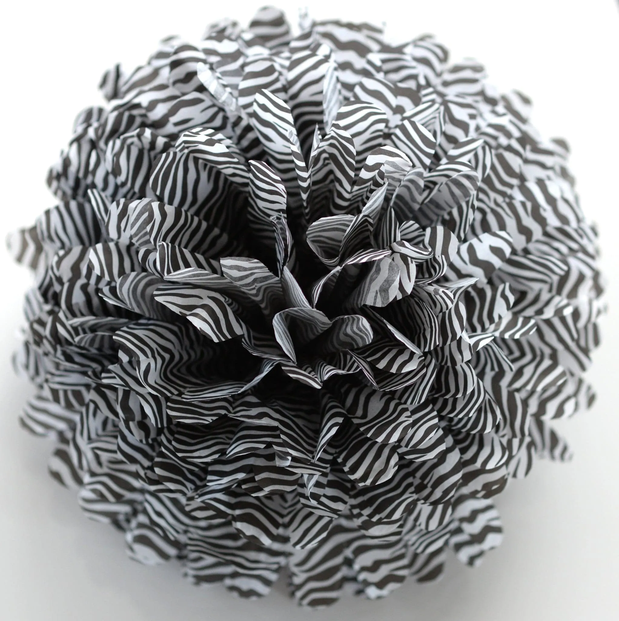 Safari Zebra paper pom poms