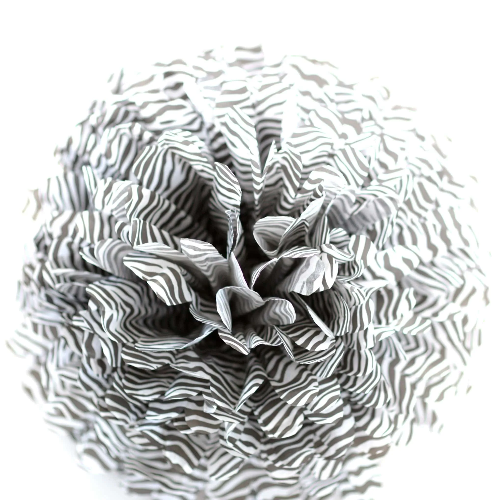 Safari Zebra paper pom poms