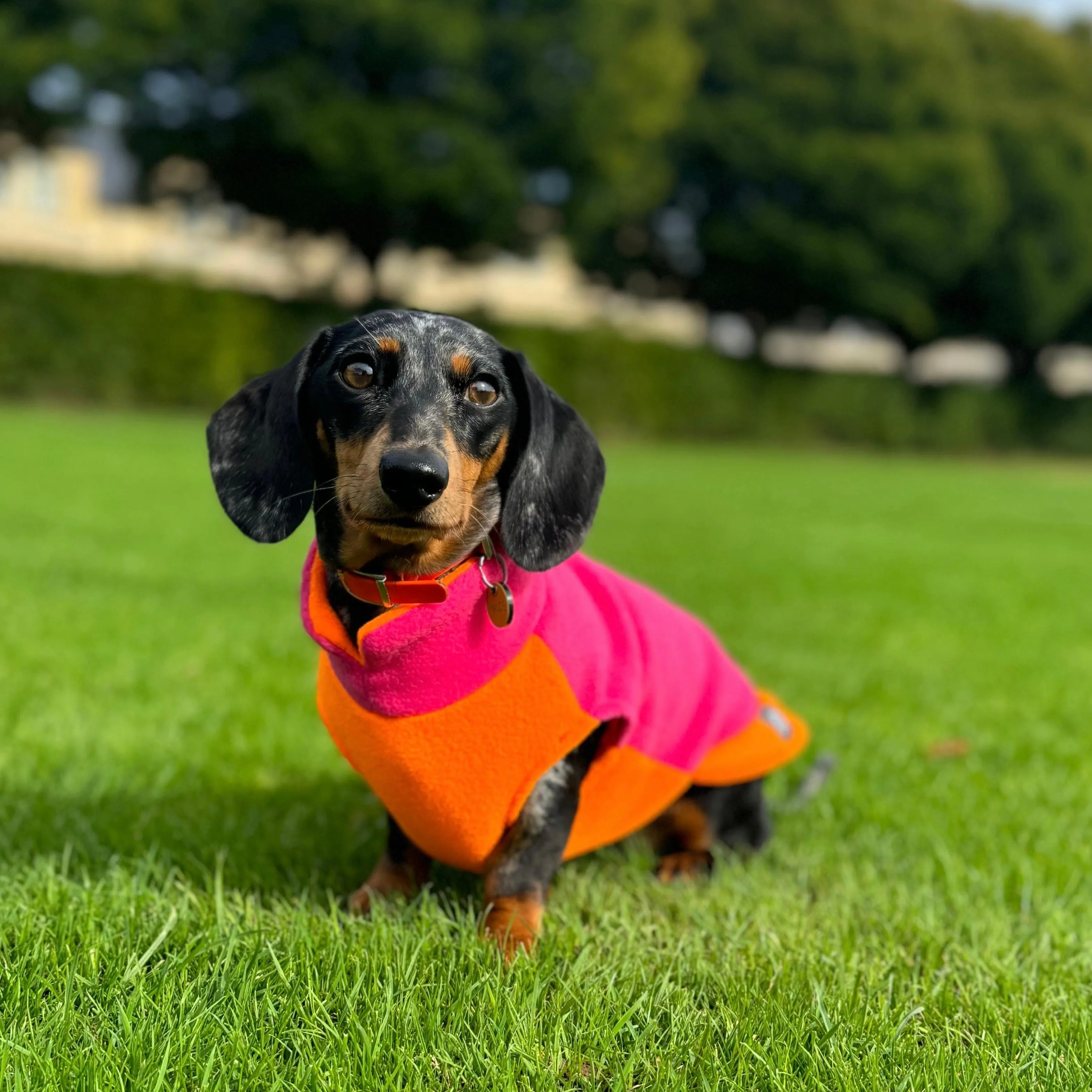 Two-Tone Dachshund Fleece Jumper