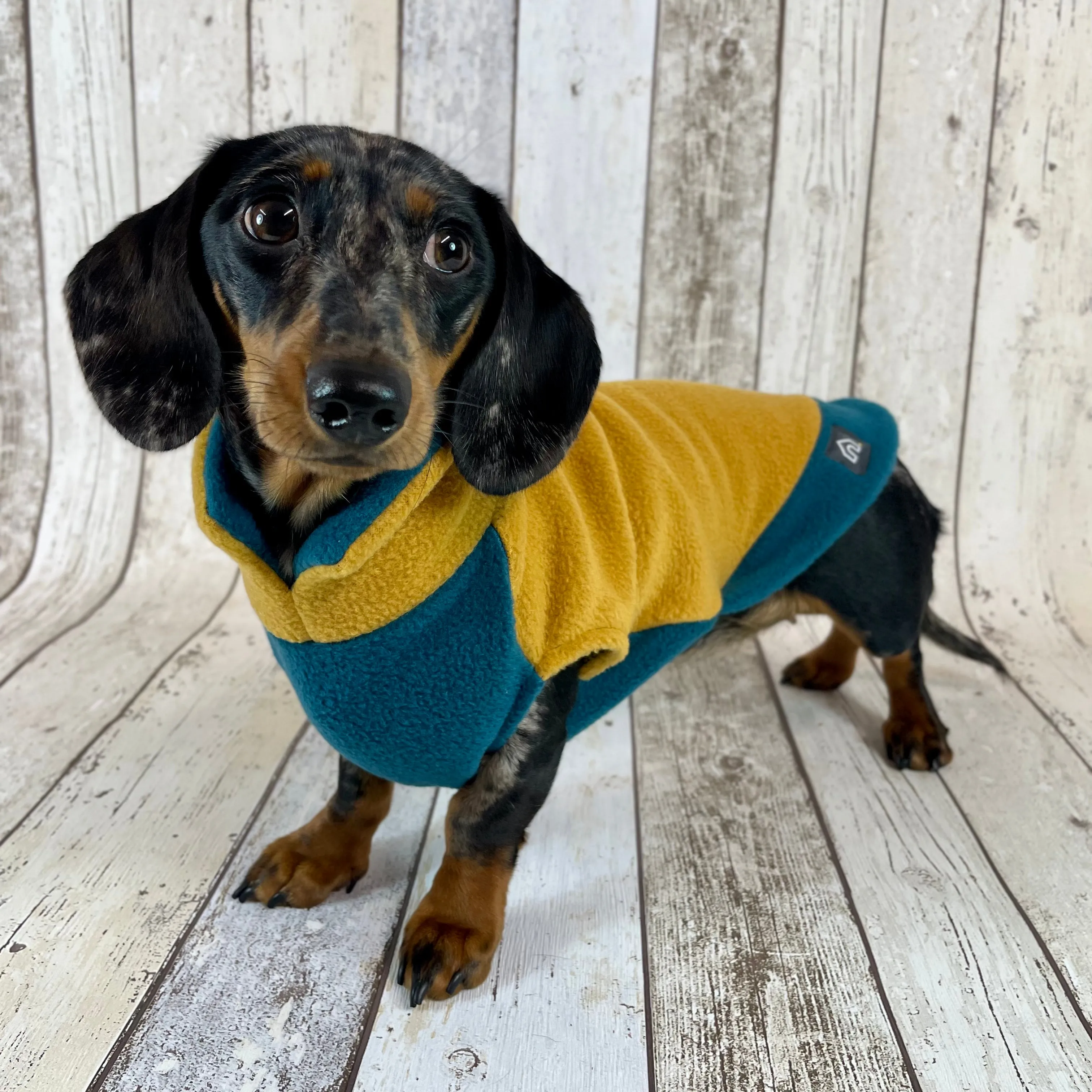 Two-Tone Dachshund Fleece Jumper