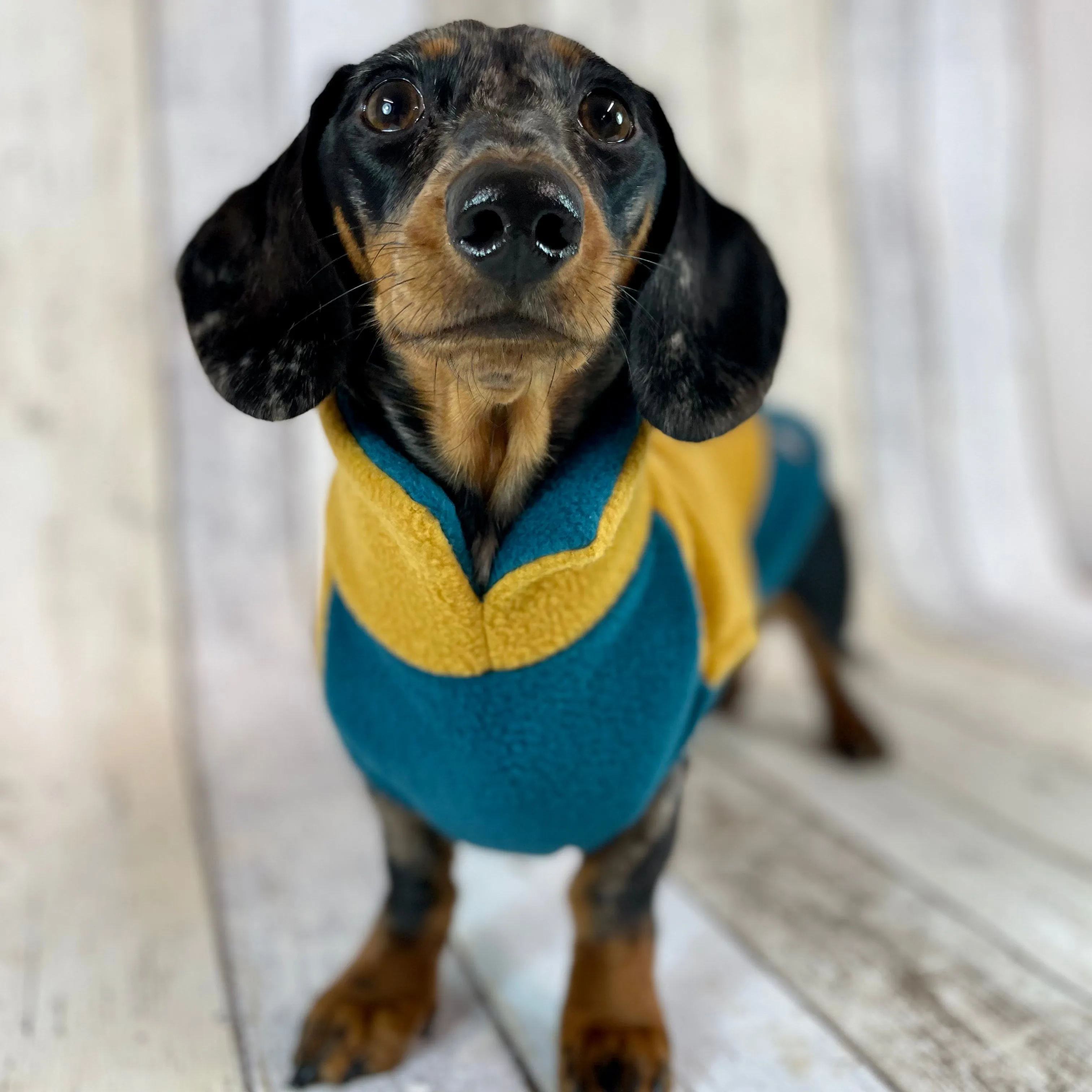 Two-Tone Dachshund Fleece Jumper