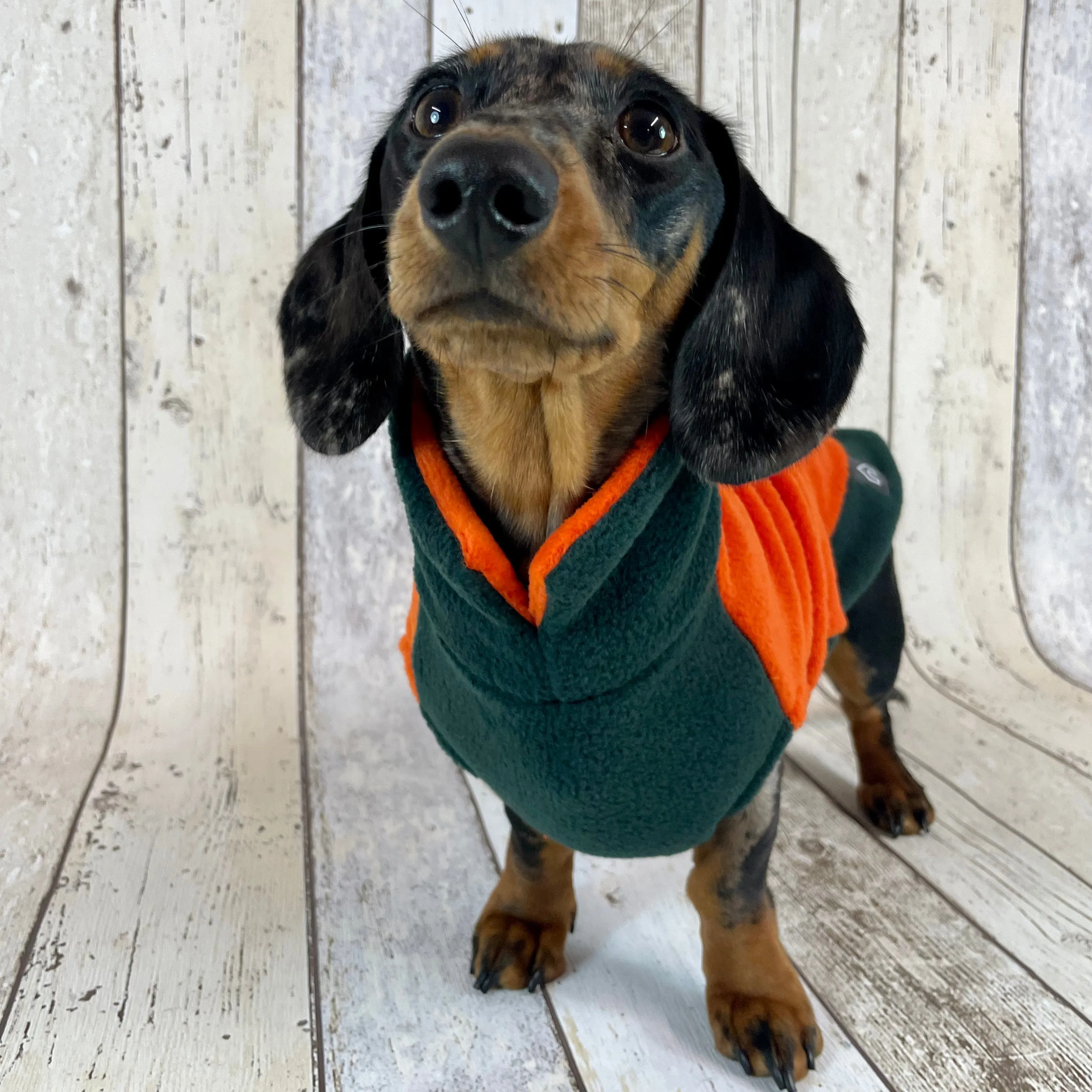 Two-Tone Dachshund Fleece Jumper