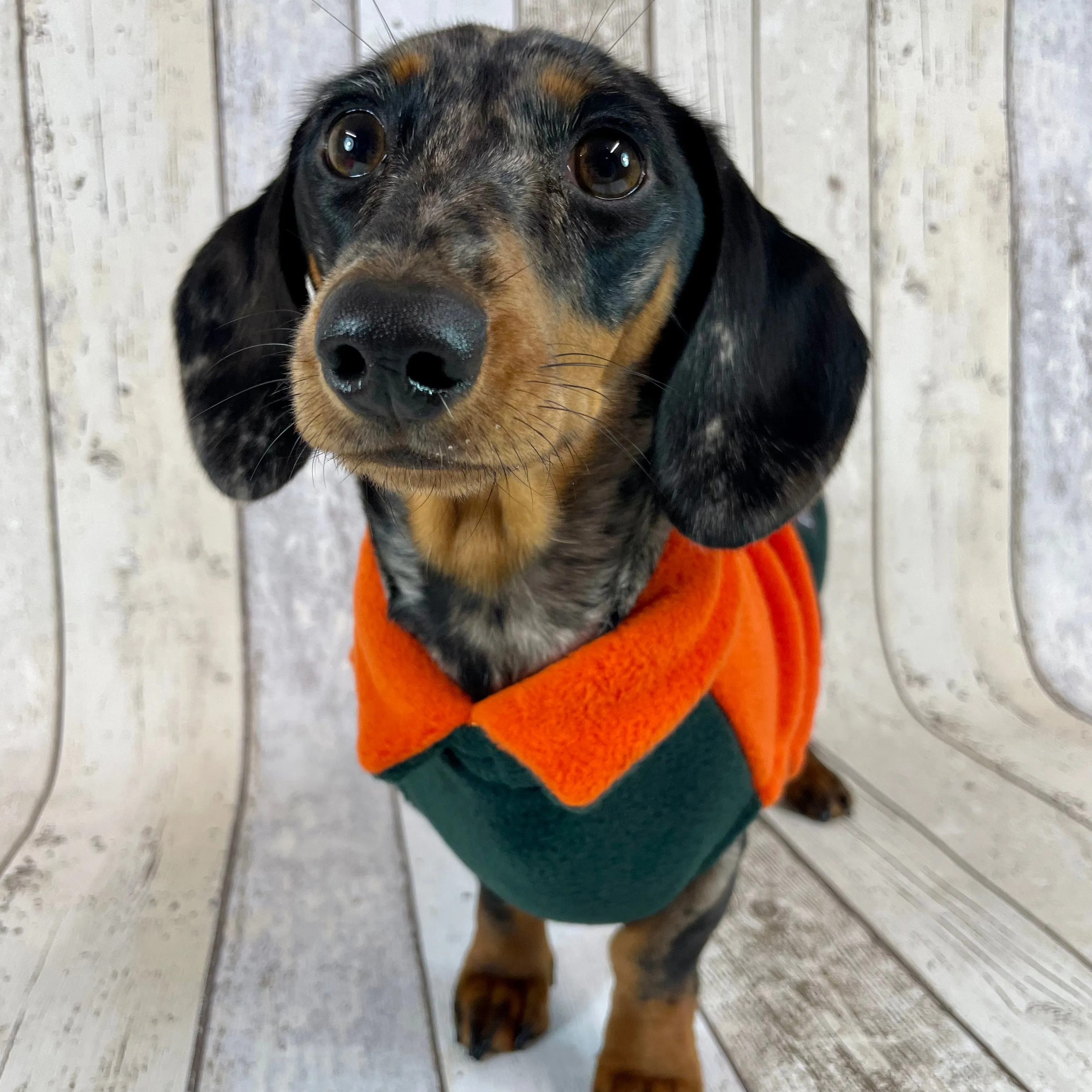 Two-Tone Dachshund Fleece Jumper